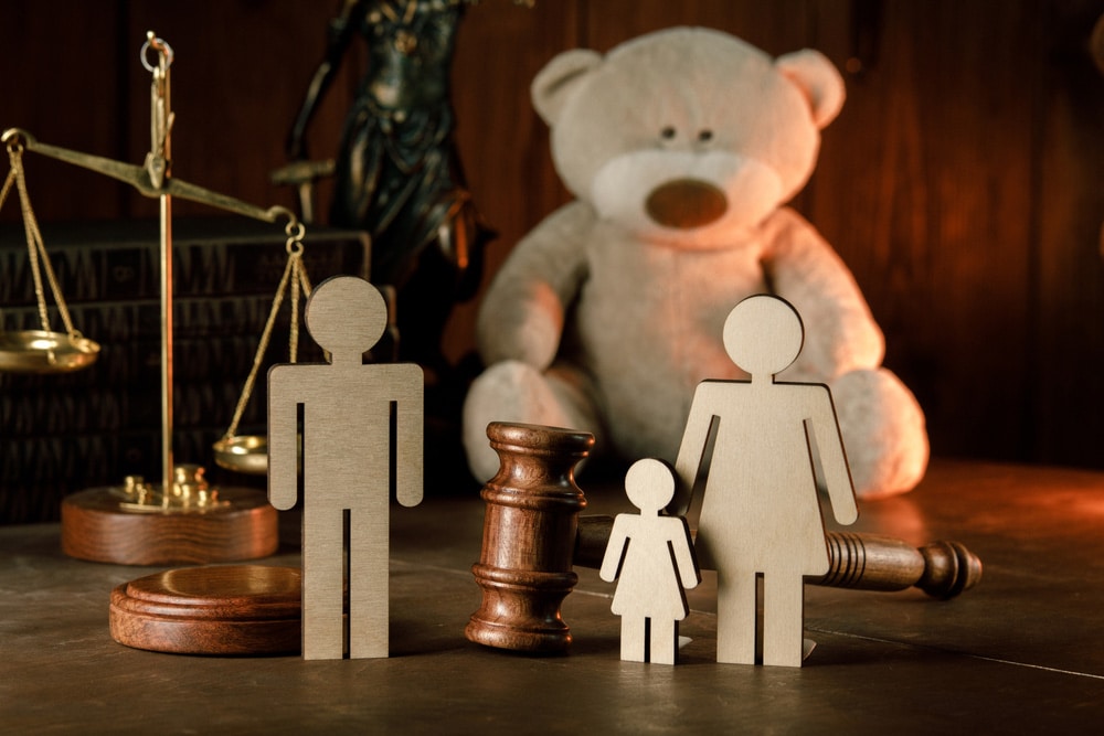 A Family Lawyer Service